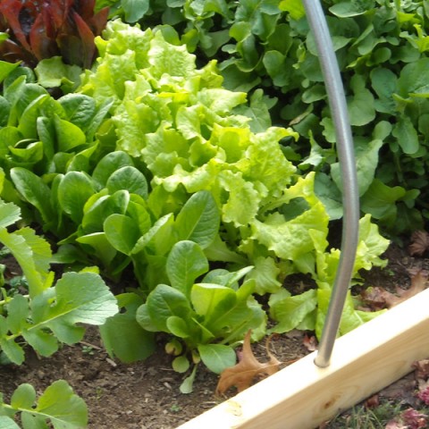 casa rural ecológica kaañoetxea – huerto ecológico casa rural ecológica kaañoetxea - huerto ecológico