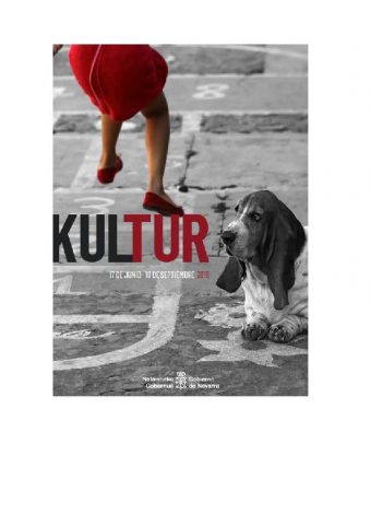 Kultur 2016 Como todos los años el Gobierno de Navarra programa actividades culturales por toda la provincia