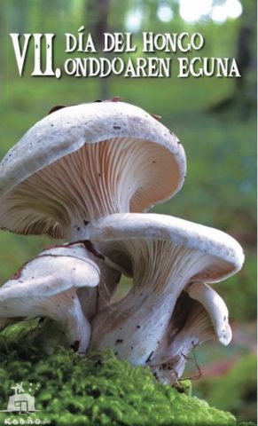 onddoaren eguna Ultzaman