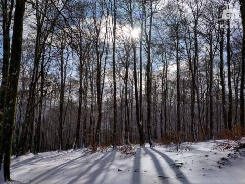 concurso fin de semana en Kaaño etxea