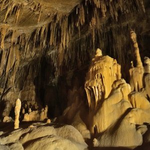 Mendukilo​, navarra