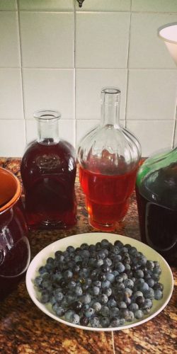 casa rural ecológica KAaño etxea - endrina y patxaran