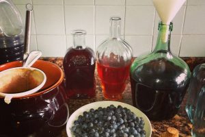 casa rural ecológica KAaño etxea - endrina y patxaran