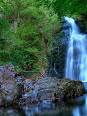 casa rural ecológica Kaaño etxea - Baztan - Gorostapolo - cascada Xorroxin