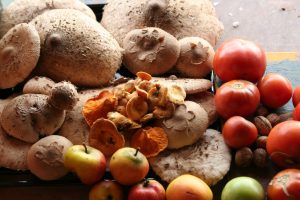 casa rural ecológica Kaaño etxea - Naturaleza generosa