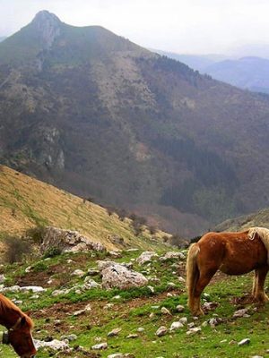 caballos en Valle Larraun sierra de Aralar