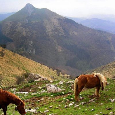 caballos en Valle Larraun sierra de Aralar
