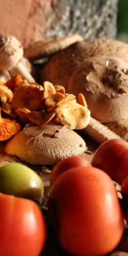 casa rural ecológica Kaaño etxea - frutos de otoño