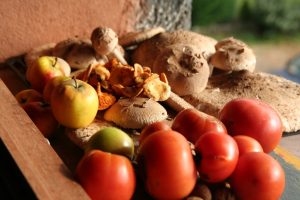 casa rural ecológica Kaaño etxea - frutos de otoño