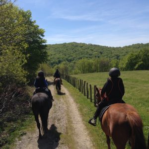 hotel ecológico kaaño etxea - caballos-prado