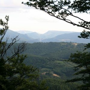 Vista Sayoa, Basaburua y Ultzama desde cumbre del Seambe.
