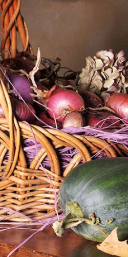 casa rural ecológica Kaano etxea-galeria-4 - futos de la huerta