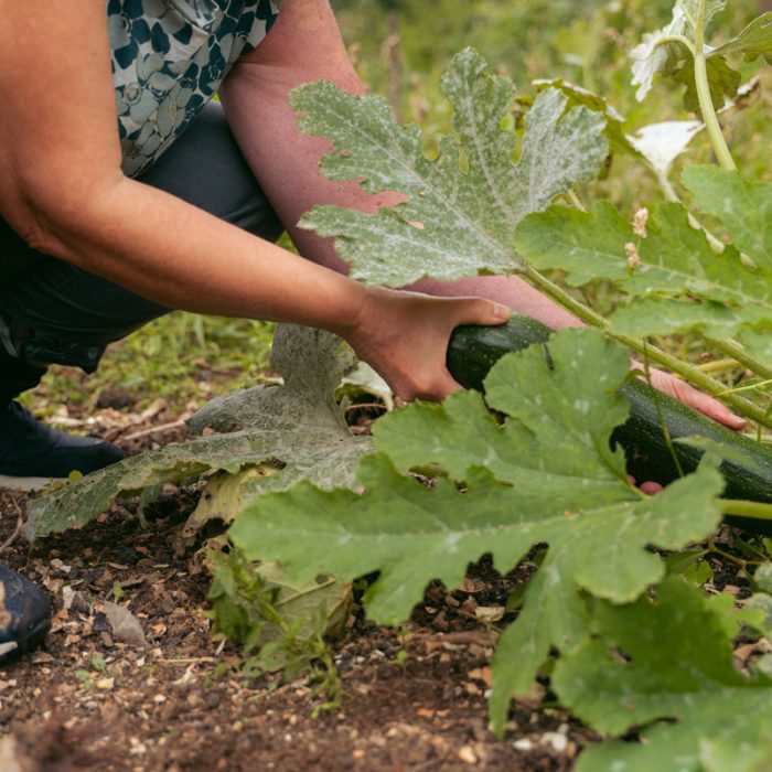 kaaño etxea casa rural ecologica en navarra España